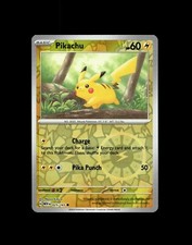 Pikachu Raichu Pichu Pokemon Card! Holo/Reverse Holo Rare EX VMAX Full Art Cards