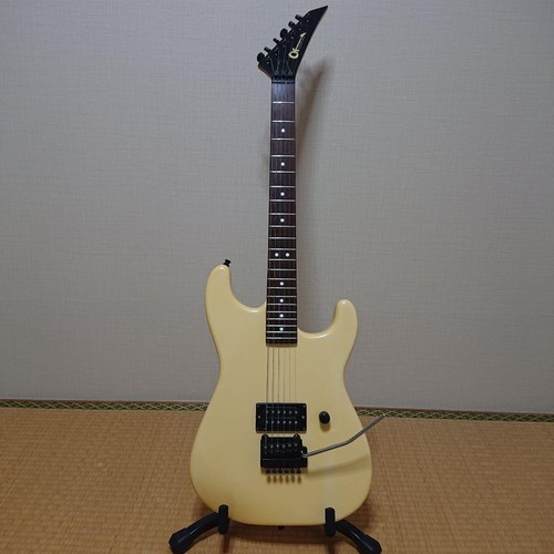Charvel model electric - charvel,