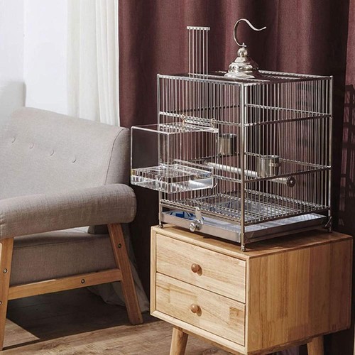 Packclear acrylic parrot - packclear,