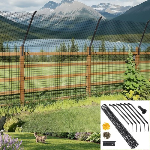 Cat fence barrier proofing - cat,
