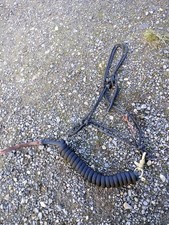 Parelli Halter Training