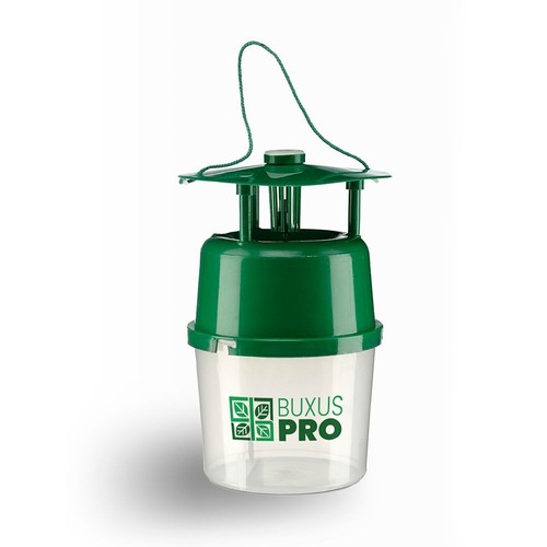 Box tree moth trap 4 - &,
