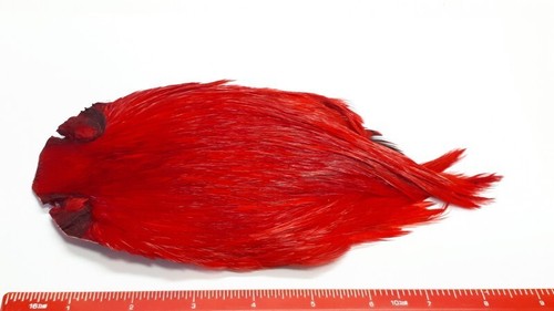 Dyed red indian - indian, cape/fly