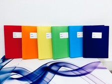 100 POCKETS (200 Views) A4 DISPLAY BOOK PRESENTATION FOLDER FILE PORTFOLIO BOOKS