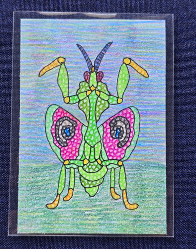 Aceo mantis original - mantis,