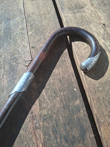 Antique edwardian cane - edwardian,