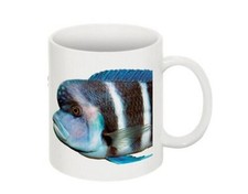 Cyphotilapia frontosa mug: Photo Mug Tropical Fish of the World Series