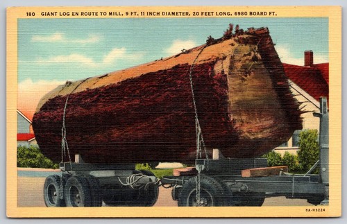 Giant log truck linen postcard - giant,