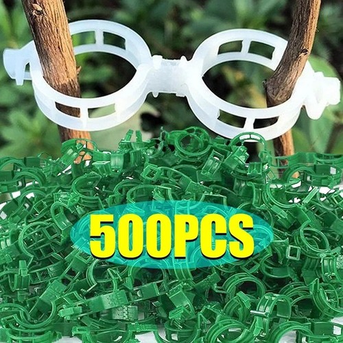 500x clip tomato and veggie - clip,