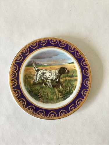 Arklow pottery pin plate - arklow,