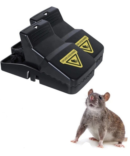 Pack xxl 21cm - 2, rat