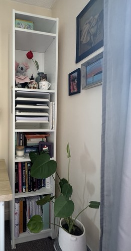 Billy bookcase white 202 - bookcase,, white,