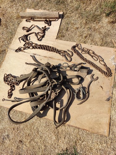 Horse vintage tack memorabilia - horse,