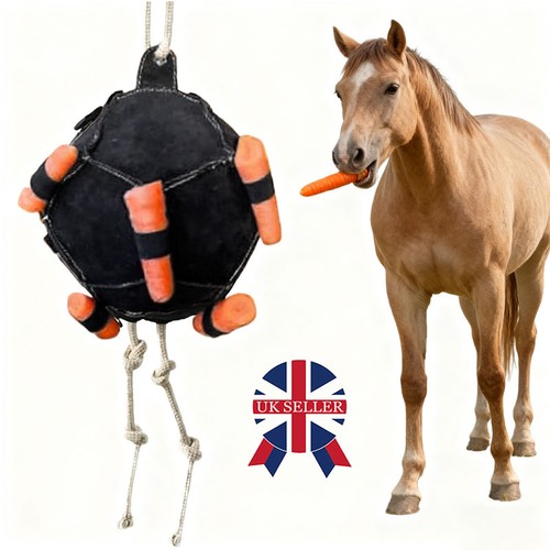 Carrot feeding ball - toy, slow