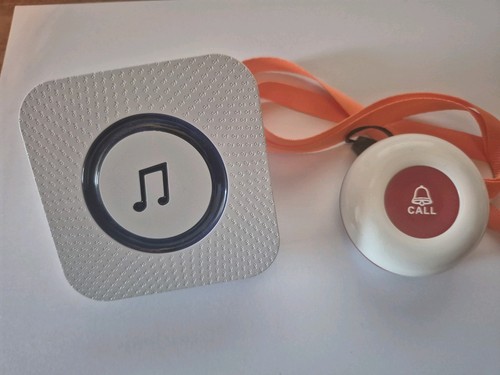 Plug alarm and pendant - plug,