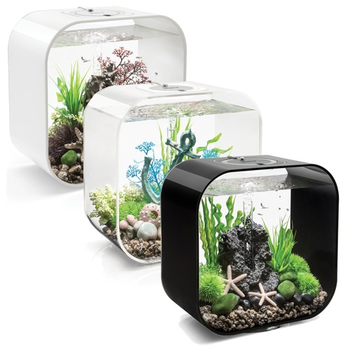Life aquarium with - aquarium,