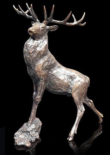 Highland prince stag bronze - stag,