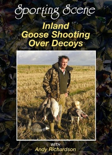 Shooting inland geese - geese, over