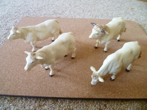 Britains charolais cows - x3, &