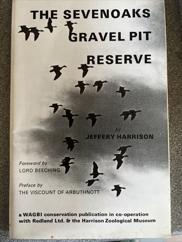 The sevenoaks gravel pit - gravel,