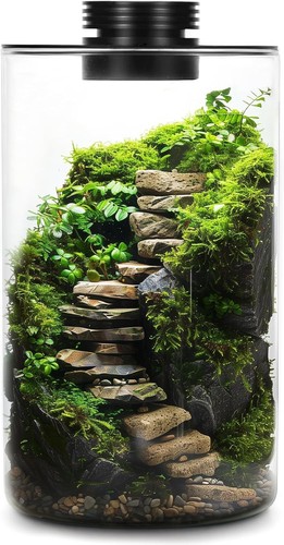 Desktop glass terrarium with - desktop,