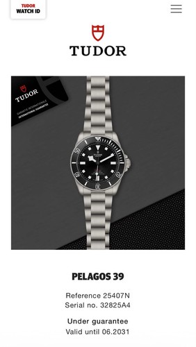 Tudor pelagos watch 25407n - pelagos, 39