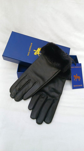 Bnib paul costelloe dressage - paul,