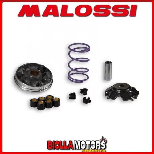 5112024 variator malossi - variator,