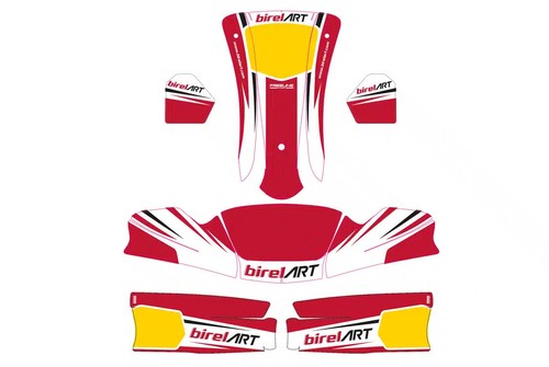 Kart freeline birel art s14 - birel,