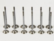 Set of Inlet & Exhaust Valves