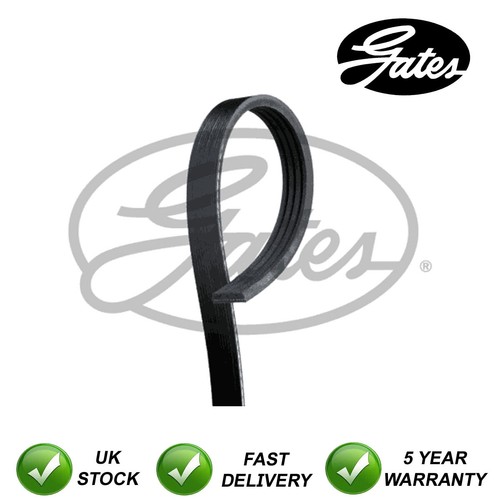 Gates ribbed belts fits - gates,