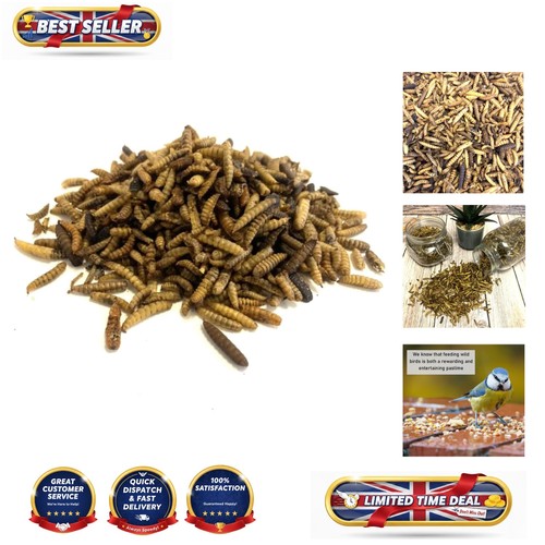 Nourishing dried calciworms - nourishing,