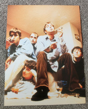 Oasis - Noel & Liam Gallagher