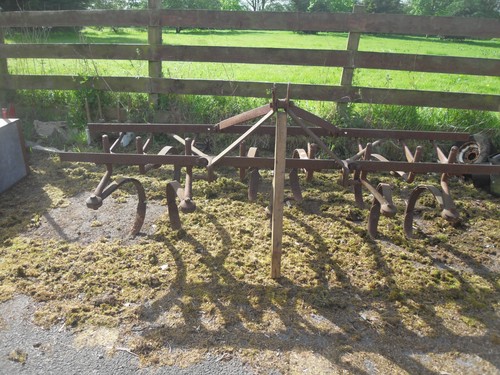 Massey ferguson cultivator - massey,