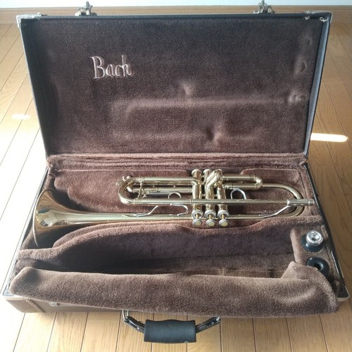 Bach tr300 trumpet gold used - bach,