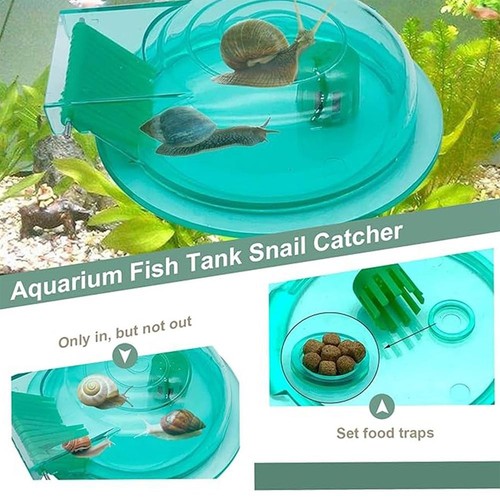 Aquarium snail trap plastic - aquarium, trap,plastic