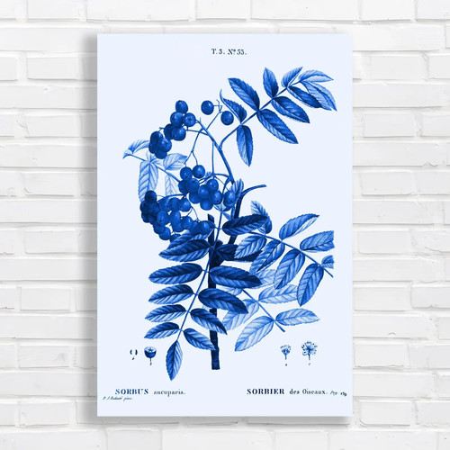 Vintage botanical berries - berries, blue
