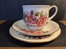 Paragon Bone China 'Prairie