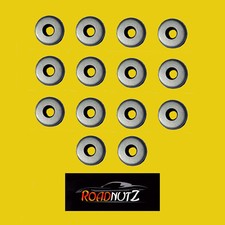 RoadNutz Stainless Rocker