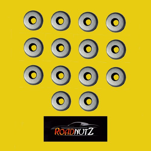 Roadnutz stainless rocker - roadnutz,