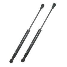 Tailgate pistons rear - 2,