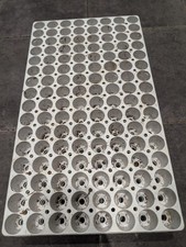 128cell Modiform Plug Plant