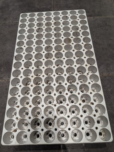 128cell modiform plug plant - modiform,