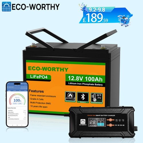 12v 100ah lifepo4 battery - 100ah,