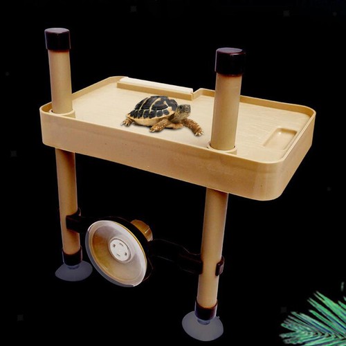 Large turtle basking platform - turtle,