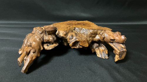 Japanese burl wood display - japanese,