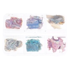 Irregular Abalone Seashell