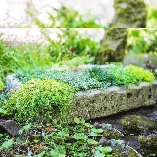 Large aged effect - large, planter