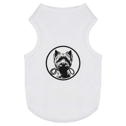 Yorkshire terrier holding - 'yorkshire,