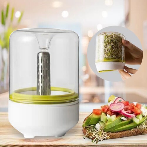 Sprouter growing kit plant - growing,